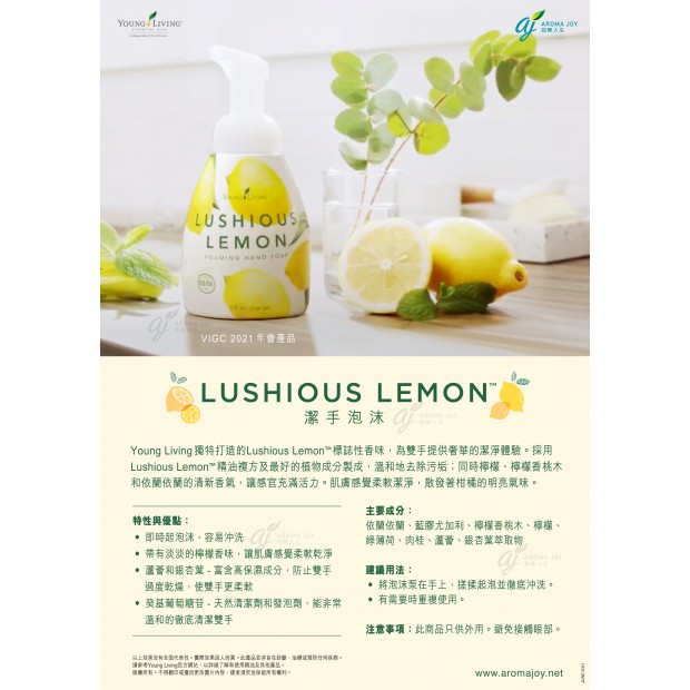 Lushious Lemon Foaming Hand Soap 潔手泡沫